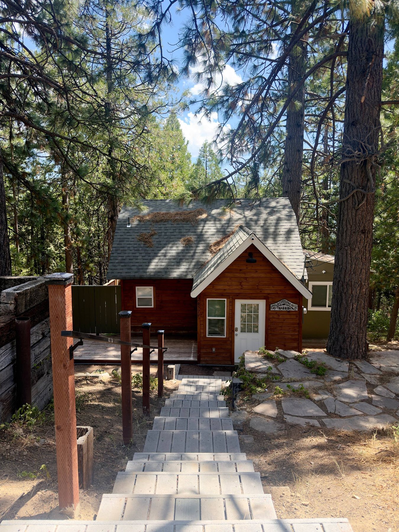 The cabin from the path after